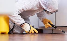 Best Pest Prevention Services  in Duenweg, MO